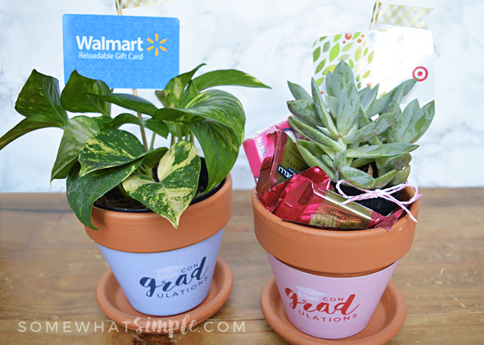 Graduation Gift Plant Wrappers - Free Printable