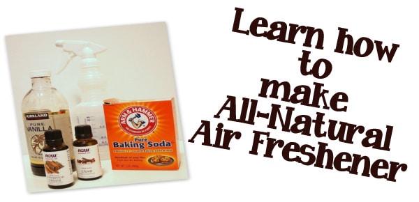 How to Make Homemade All Natural Air Freshener - Somewhat Simple