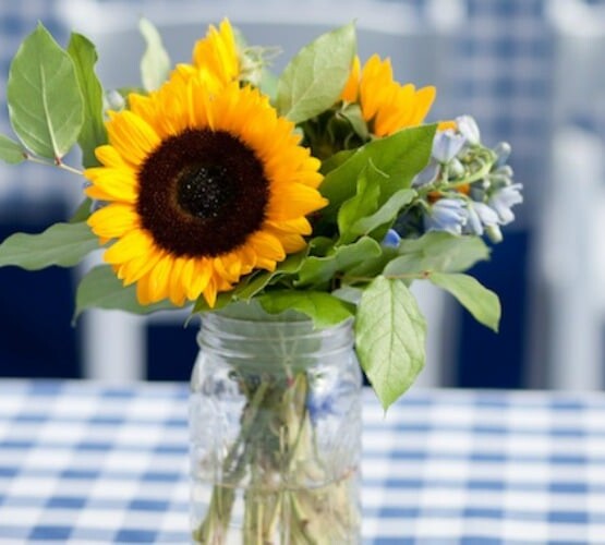 bbq party table setting