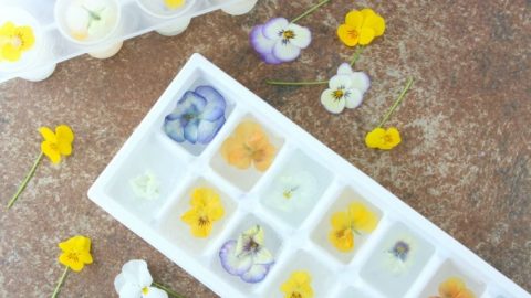 How To Make Edible Flower Ice Cubes - Muy Bueno Blog