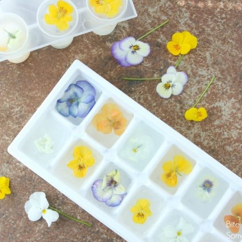 Edible Flower Ice Cubes Recipe- Vibrant and Colorful - A Busy Kitchen