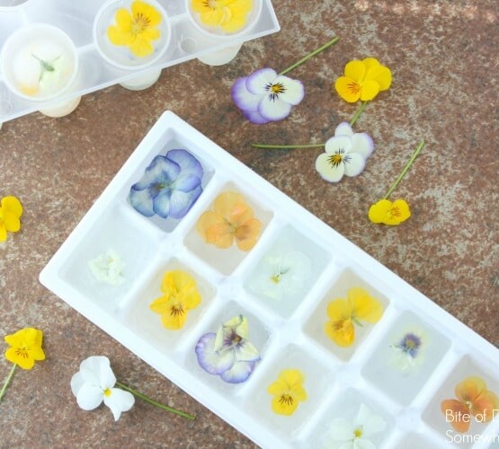 Edible Flower Ice Cubes are a beautiful way to dress up a simple glass of water. Perfect for baby showers, book clubs, or a Springtime dinner party!