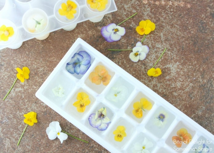 Edible Flowers Are Having a Moment—Here's What to Know About the Trend