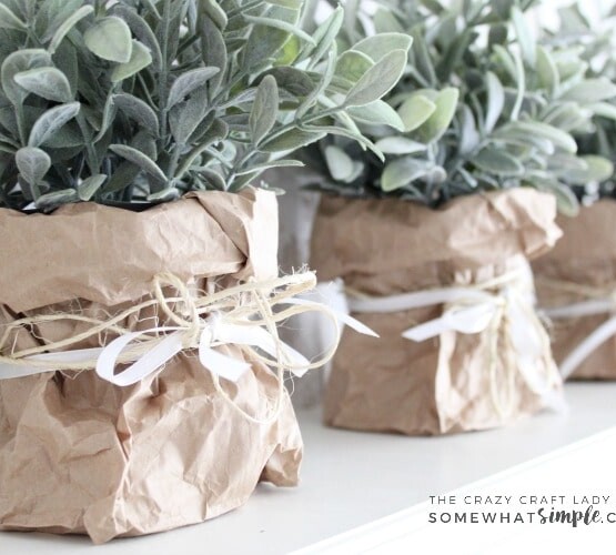 Follow this tutorial to learn how to make super simple spring paper bag planters. This tutorial is perfect for spring flowers, bulbs and plants!