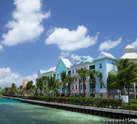 light pink, blue and green houses with a row of palm trees that line the coast in Freeport Bahamas