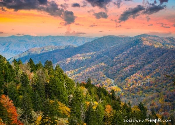 5 Things to Do in Smoky Mountains - Somewhat Simple