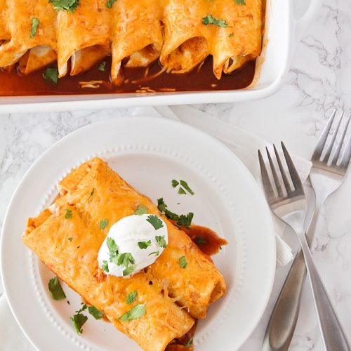 Easy Homemade Chicken Enchiladas Recipe | Somewhat Simple