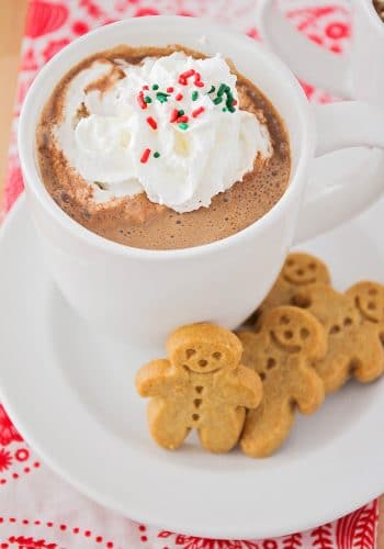 Gingerbread Hot Chocolate Recipe Somewhat Simple