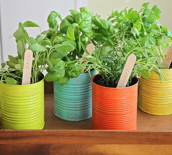 Indoor Herb Garden made from painted cans