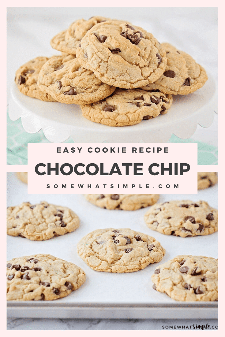 Big Fat Chewy Chocolate Chip Cookies Recipe | Somewhat Simple