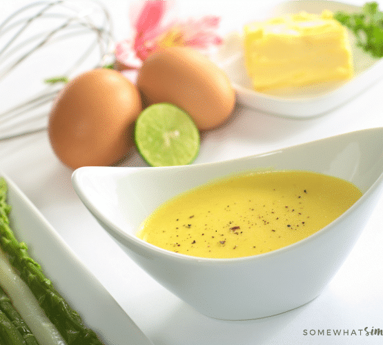 Easy Blender Hollandaise Sauce Recipe