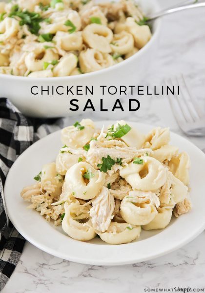 Chicken Tortellini Salad - Somewhat Simple