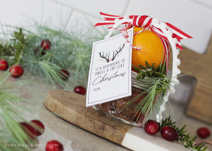 Easy Holiday Neighbor Gift Idea - Christmas Pot Simmer & Tag
