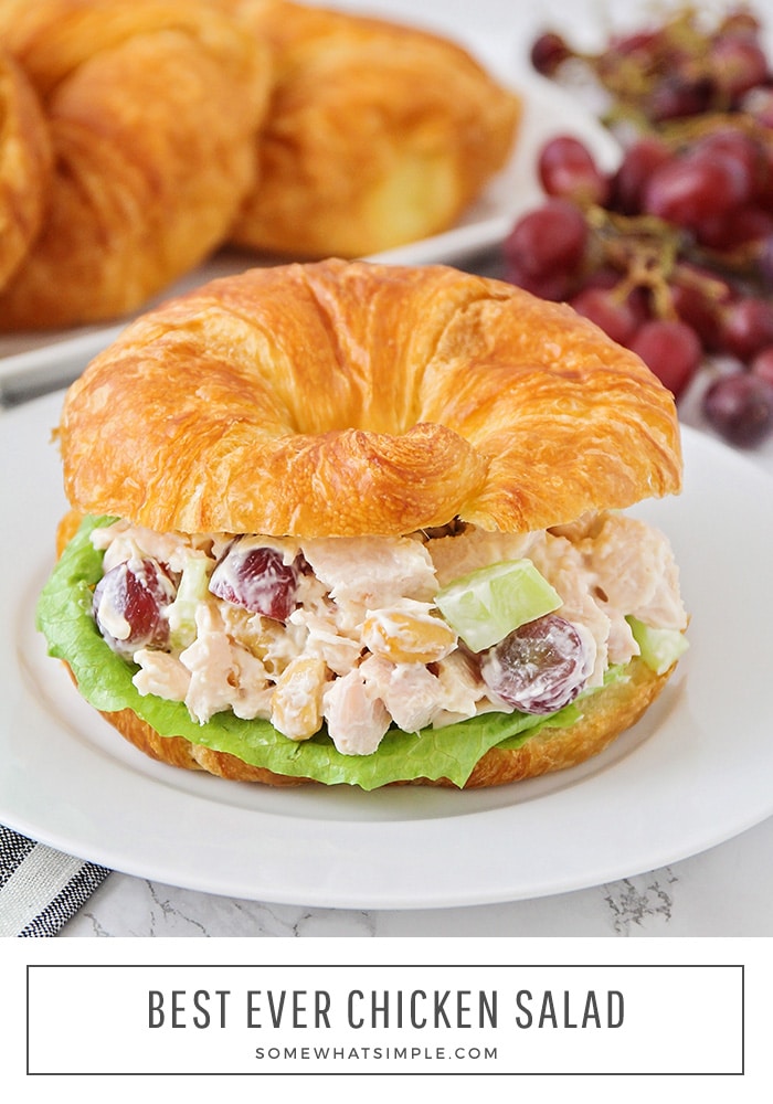 Easiest Chicken Salad Sandwich Recipe Somewhat Simple