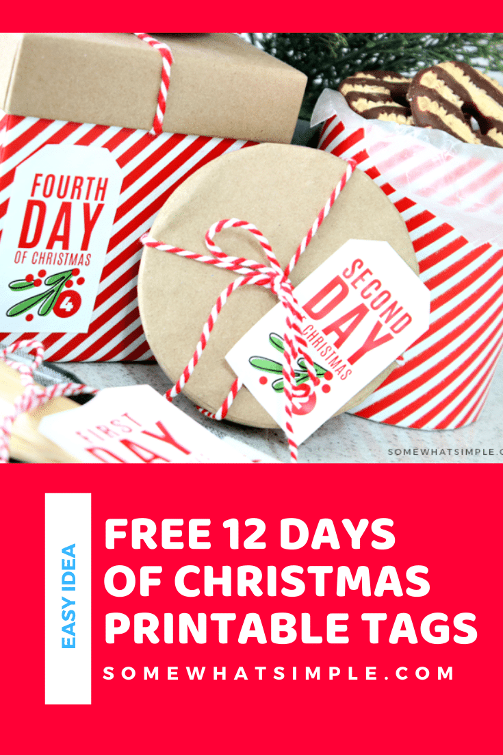 12 Days Of Christmas Tags FREE Printable Somewhat Simple