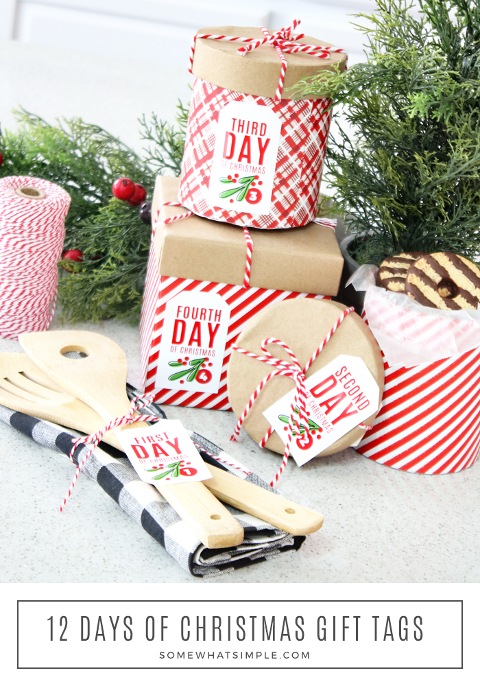 12 Days of Christmas Neighbor Gift Idea