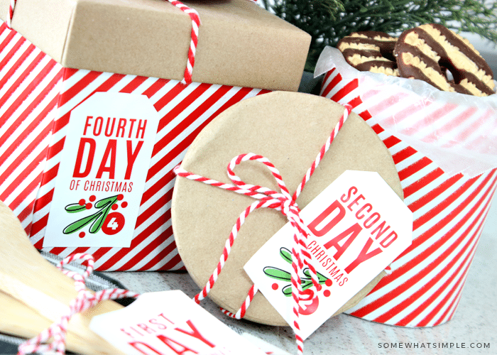 Mini 12 Days of Christmas Plush Gift Box Set - 12 Pc. | Oriental Trading