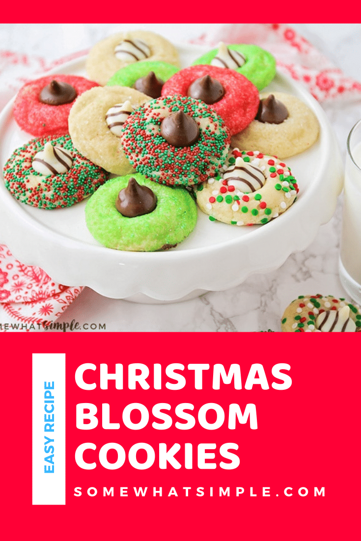 Christmas Blossom Cookies (5 Minute Prep) - Somewhat Simple