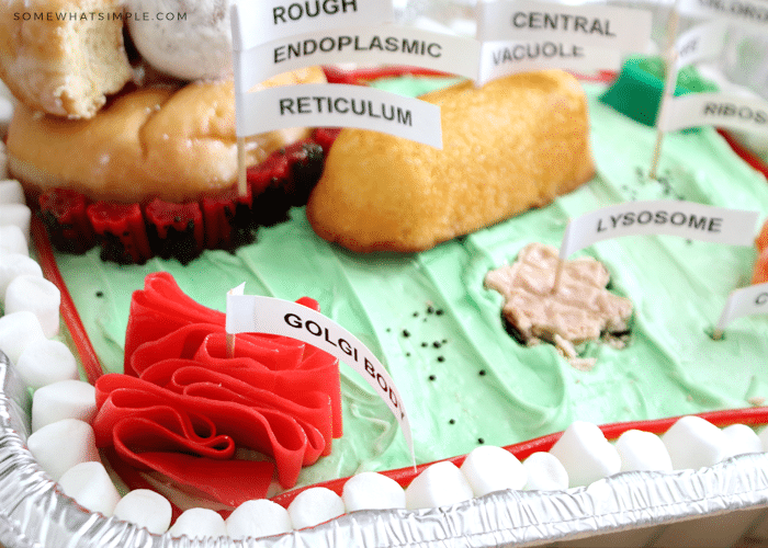 plant cell 3d cake