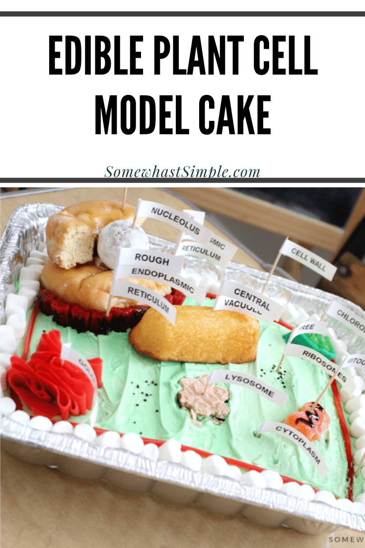 How to Make an Animal Cell Cake in 10 Steps ~ The Organized Homeschooler