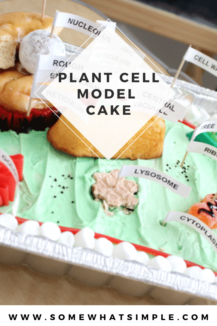 Edible Plant Cell Model Cake Labels Somewhat Simple
