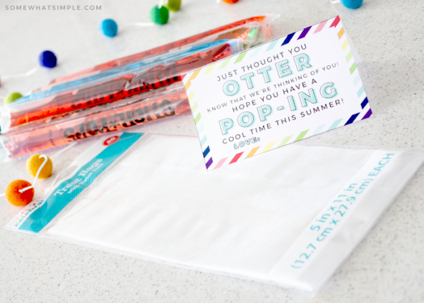 Otter Pop Gift Tag Printable | from Somewhat Simple .com