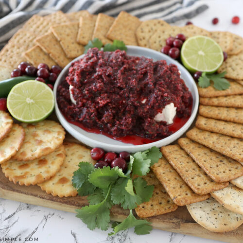 Quick and Easy Cranberry Salsa - Somewhat Simple