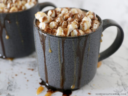 The Best Creamy Hot Chocolate Recipe - from Somewhat Simple