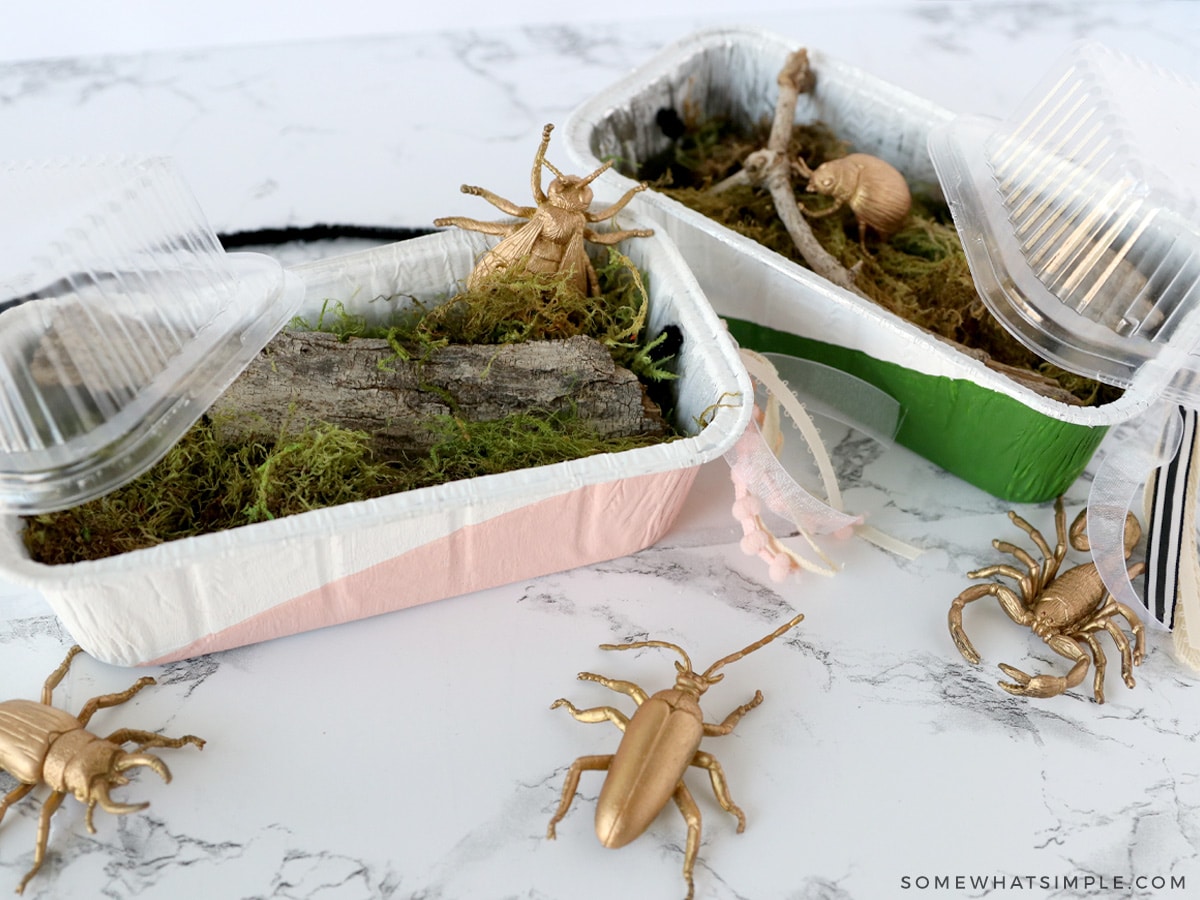 Make Your Own Bug Catchers (Easy Kids Craft)
