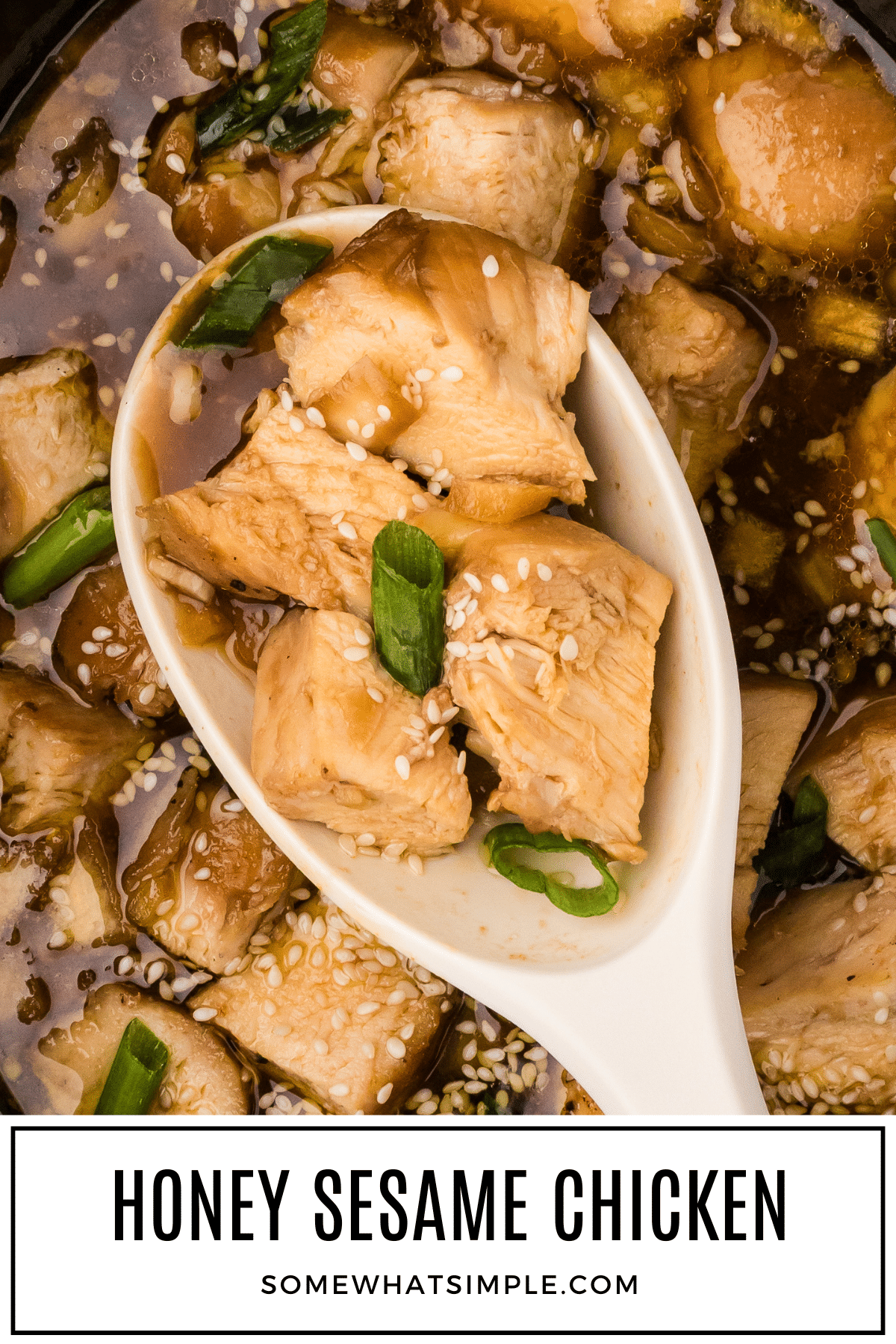 Honey sesame chicken made with chunks of slow-cooked chicken smothered in a sweet and savory honey garlic and soy sauce is garnished with sesame seeds and served hot over a bed of rice. This simple meal idea is basically a dump-and-set recipe that packs a ton of flavor into every bite! via @somewhatsimple